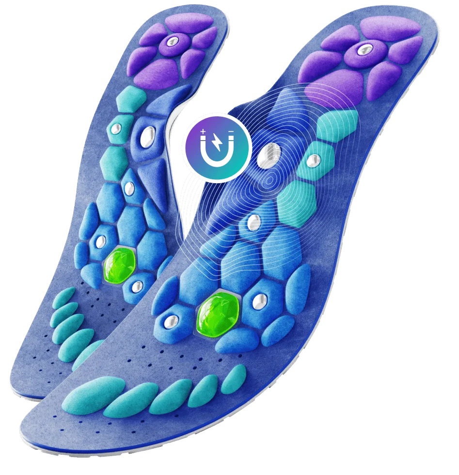 EvoStep